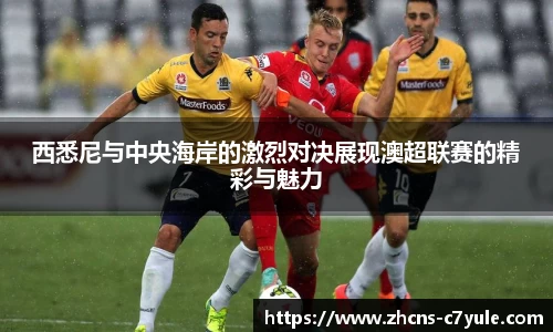 C7娱乐官网