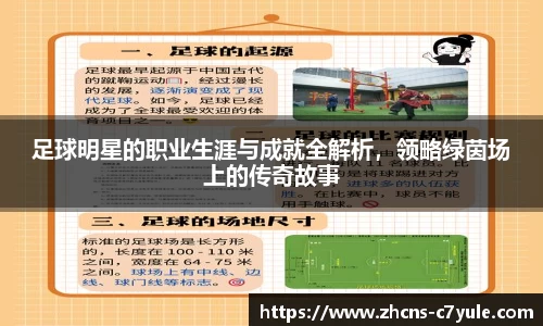 足球明星的职业生涯与成就全解析,领略绿茵场上的传奇故事